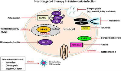 Host-Directed Drug Therapies for Neglected Tropical Diseases Caused by Protozoan Parasites